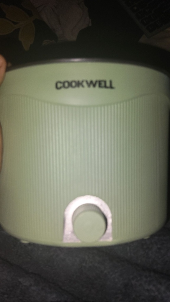 COOKWELL Sage Green Portable Mini Cooker