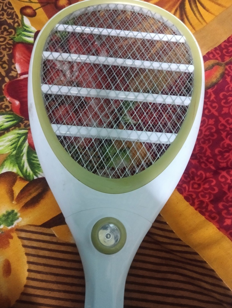 Electric Mosquito Swatter Racket