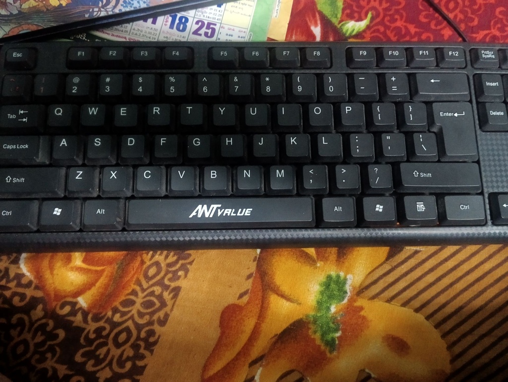 ANTVALUE Wired Standard Keyboard