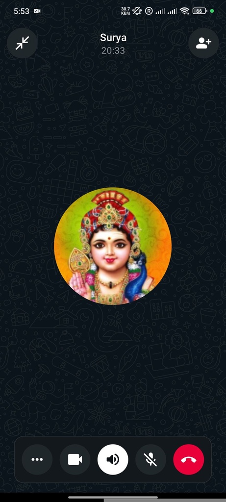 Screenshot of a WhatsApp Video Call